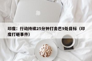 印度：行动持续25分钟打击巴9处目标（印度打砸事件）