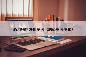 药用辅料净化车间（制药车间净化）