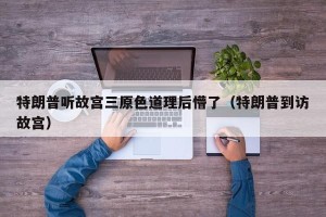 特朗普听故宫三原色道理后懵了（特朗普到访故宫）