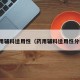 药用辅料适用性（药用辅料适用性分析）